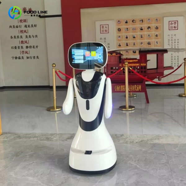 hospitality robot interaction