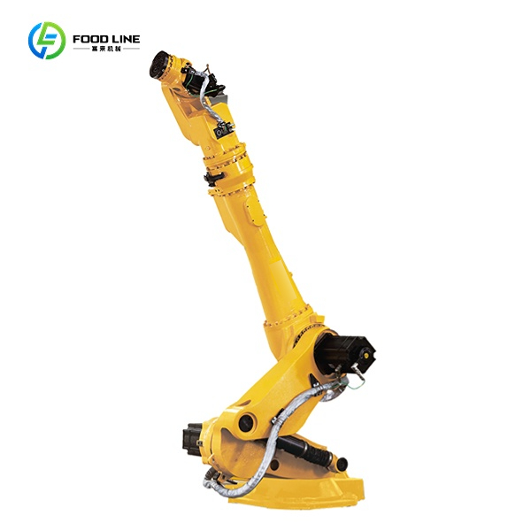 6-axis palletizing robot for boxes