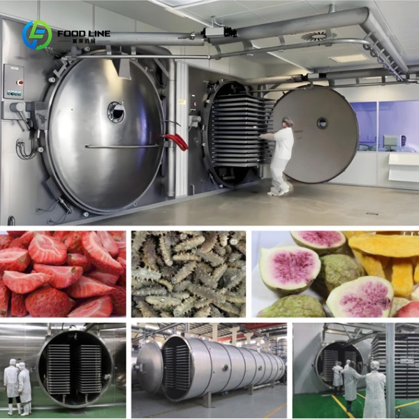 industrial freeze dryer for food preservation