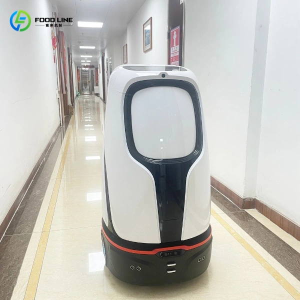 robot cruises in the hotel