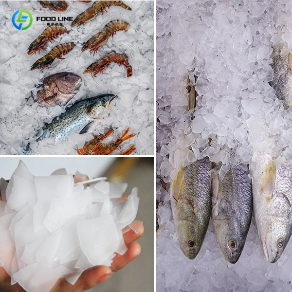 flake ice for seafood preservation
