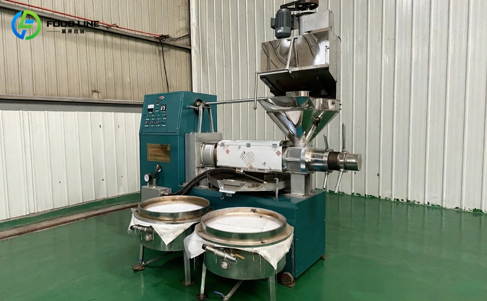 foodline groundnut oil extraction machine for sale