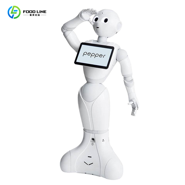 human-like robot pepper