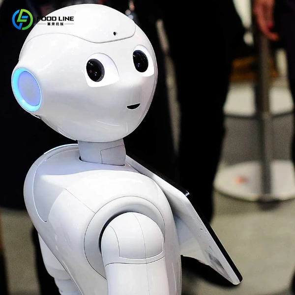 smart humanoid robot