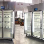 thawing cabinet thawing machine for sale