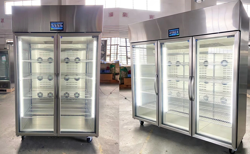 thawing cabinet thawing machine for sale