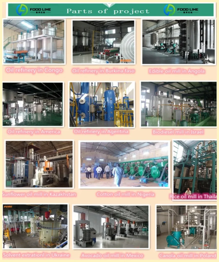 foodmax oil processing plant export projects