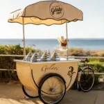 Tricycle Ice Cream Cart Sold to the US tricycle ice cream cart for sale