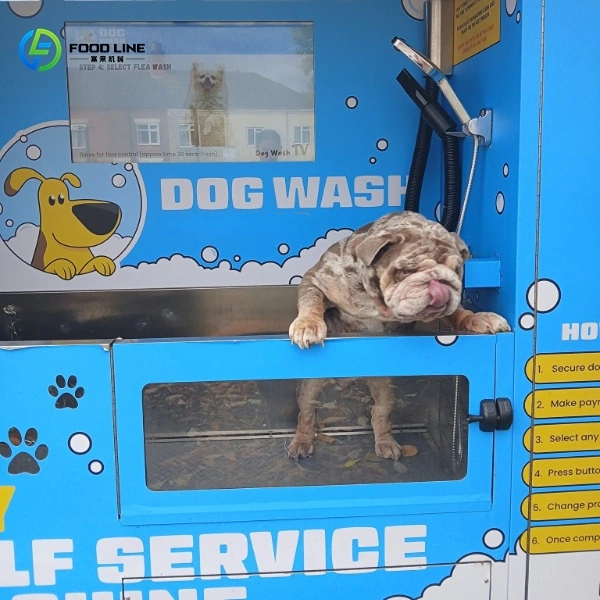 dog wash station self service business