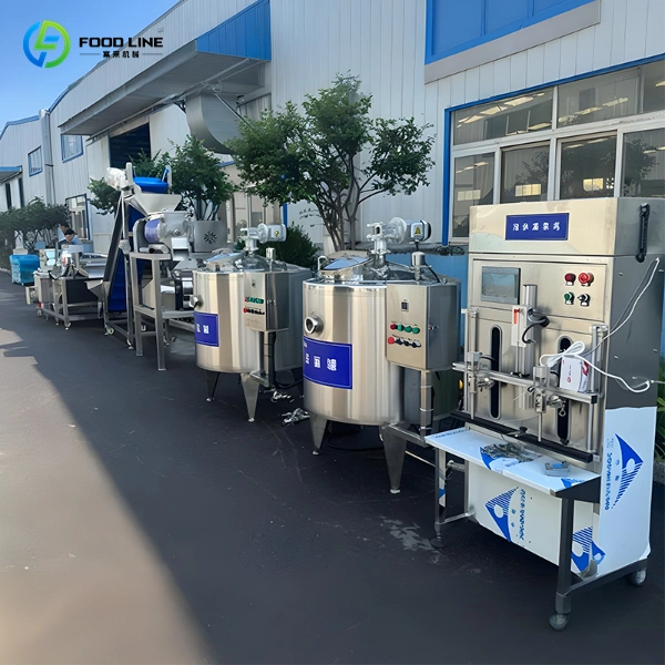 small scale fruit juice processing line
