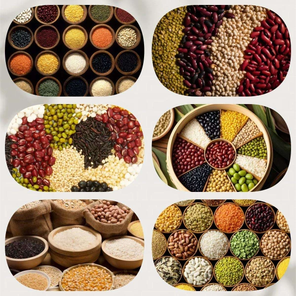 for various grain materials packing