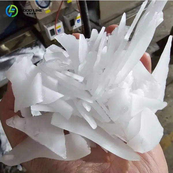 seafood scale ice