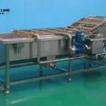 Bubble Washing Machine for Fruits and Vegetables Cleaning foodline bubble washing machine for sale