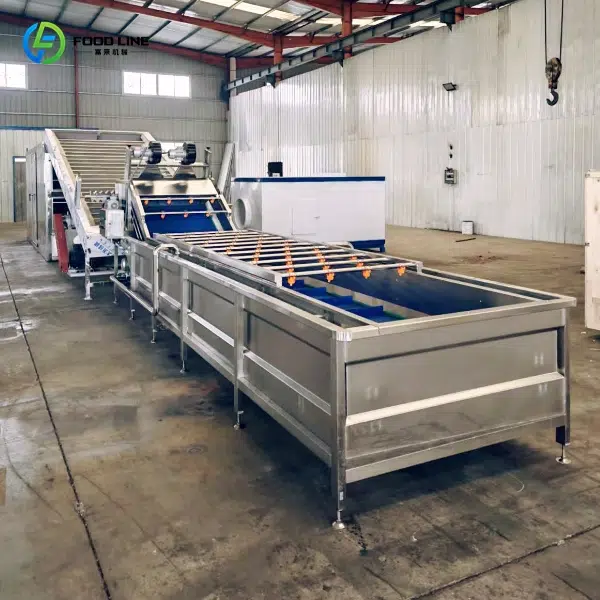 fruit and vegetable washing and drying line