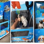 self dog wash station business