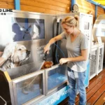 self service dog washing vending machine business