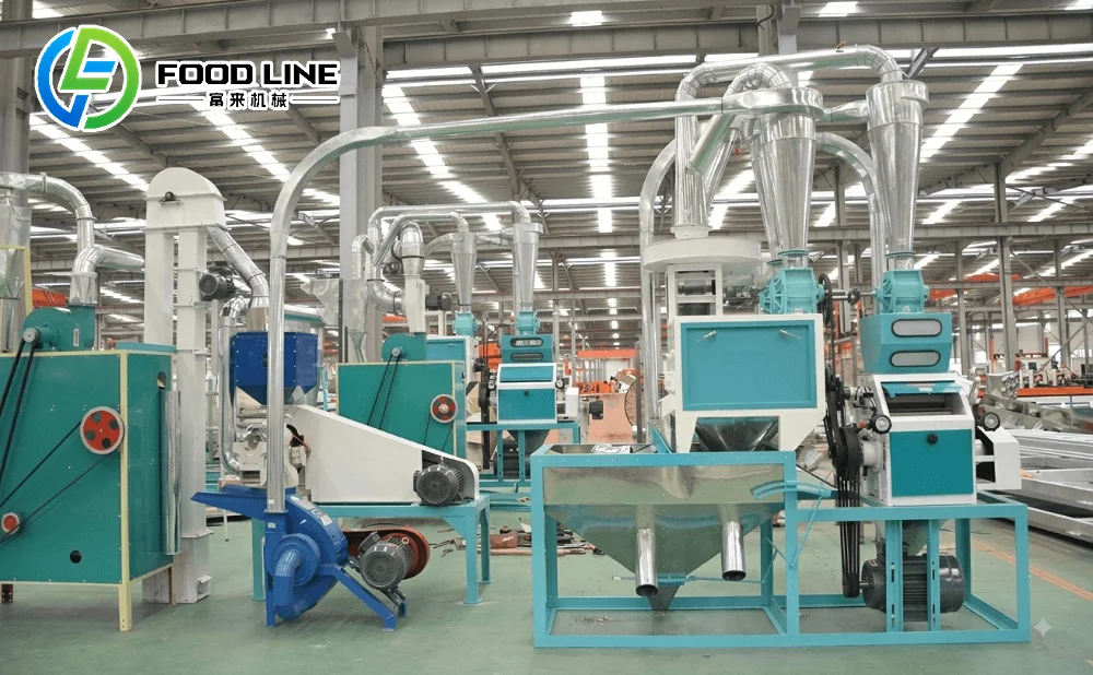 5tpd maize flour milling plant factory layout
